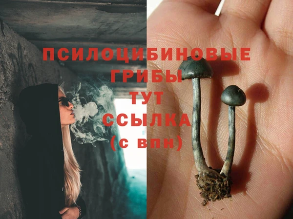 хмурый Осташков