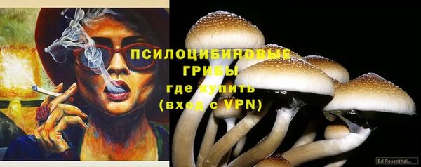 хмурый Осташков