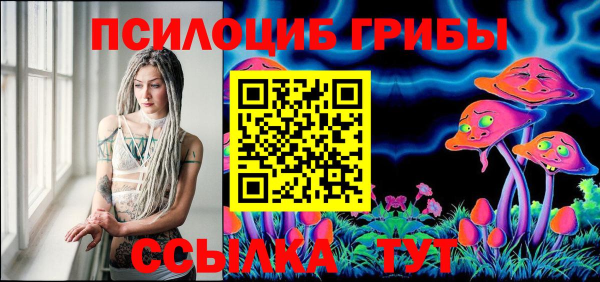 Копейск  Галлюциногенные грибы Psilocybine cubensis  Вход с VPN 