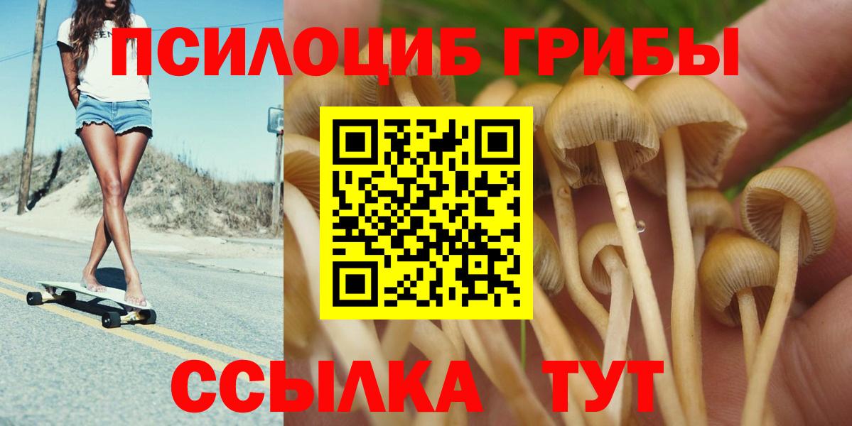 Галлюциногенные грибы Psilocybine cubensis Копейск