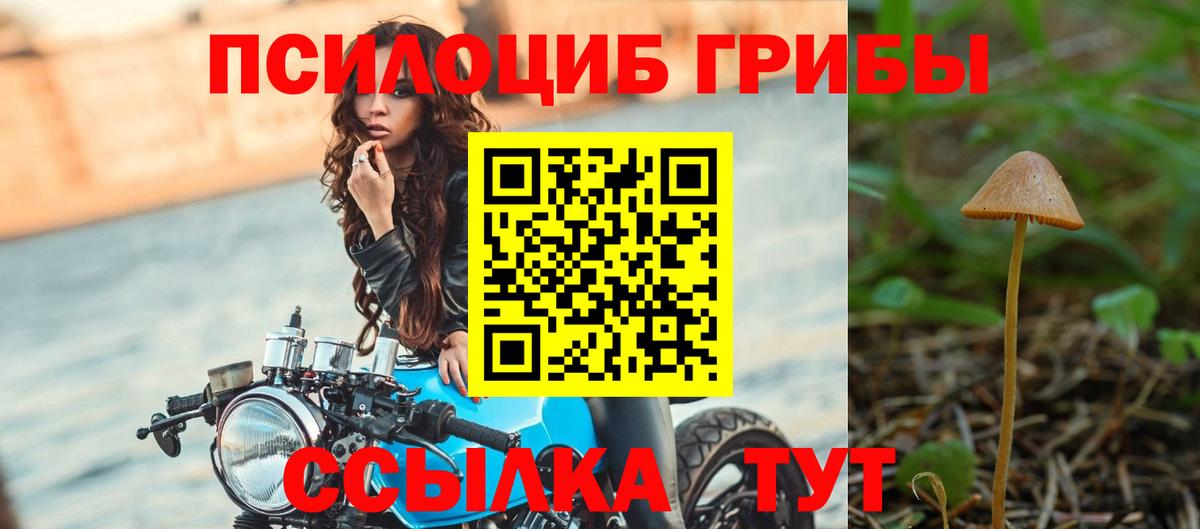 Псилоцибиновые грибы Magic Shrooms  Копейск  где купить наркоту  Псилоцибиновые грибы мухоморы 